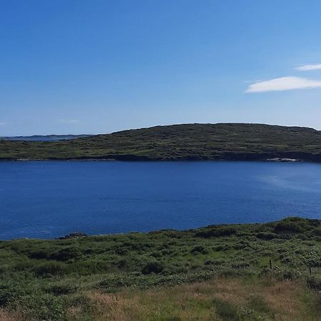 Conneelys Cottage, Connemara, Clifden, H71Y096 Bagian luar foto